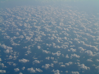 Filename=Post_Cruise_2_038.jpg
Filesize=1214KiB
Dimensions=2048x1536
Date added=Sep 15, 2019 Post_Cruise_2_038.jpg