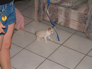 Filename=Pre-cruise_018.jpg
Filesize=1243KiB
Dimensions=2048x1536
Date added=Sep 15, 2019 Pre-cruise_018.jpg