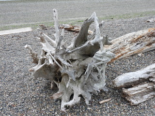 Filename=DSCN0109.JPG
Filesize=7105KiB
Dimensions=4608x3456
Date added=Jun 25, 2022 DSCN0109.JPG