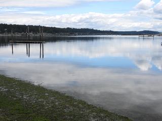 Filename=DSCN0115.JPG
Filesize=6097KiB
Dimensions=4608x3456
Date added=Jun 25, 2022 DSCN0115.JPG