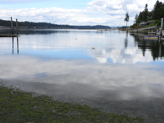 Filename=DSCN0120.JPG
Filesize=6890KiB
Dimensions=4608x3456
Date added=Jun 25, 2022 DSCN0120.JPG