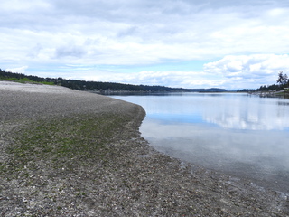 Filename=DSCN0122.JPG
Filesize=6649KiB
Dimensions=4608x3456
Date added=Jun 25, 2022 DSCN0122.JPG