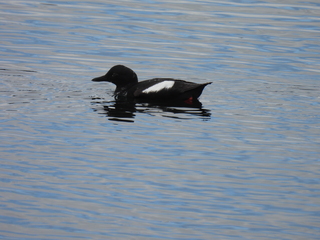 Filename=DSCN0128.JPG
Filesize=6953KiB
Dimensions=4608x3456
Date added=Jun 25, 2022 DSCN0128.JPG