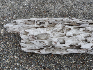 Filename=DSCN0135.JPG
Filesize=7454KiB
Dimensions=4608x3456
Date added=Jun 25, 2022 DSCN0135.JPG