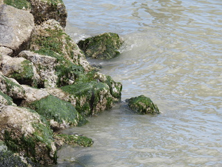 Filename=DSCN0888.JPG
Filesize=7157KiB
Dimensions=4608x3456
Date added=Jun 25, 2022 DSCN0888.JPG