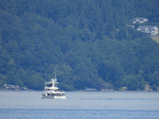 Filename=DSCN0896.JPG
Filesize=7124KiB
Dimensions=4608x3456
Date added=Jun 25, 2022 DSCN0896.JPG