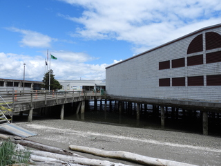 Filename=DSCN0903.JPG
Filesize=6599KiB
Dimensions=4608x3456
Date added=Jun 25, 2022 DSCN0903.JPG