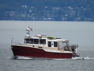 Filename=DSCN0908.JPG
Filesize=6680KiB
Dimensions=4608x3456
Date added=Jun 25, 2022 DSCN0908.JPG