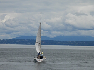 Filename=DSCN0913.JPG
Filesize=6332KiB
Dimensions=4608x3456
Date added=Jun 25, 2022 DSCN0913.JPG