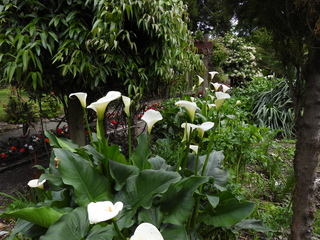 Filename=DSCN0939.JPG
Filesize=7182KiB
Dimensions=4608x3456
Date added=Jun 25, 2022 DSCN0939.JPG