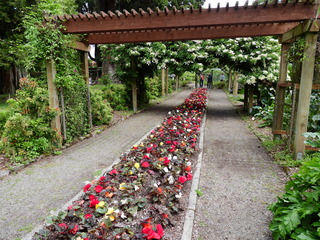 Filename=DSCN0941.JPG
Filesize=7511KiB
Dimensions=4608x3456
Date added=Jun 25, 2022 DSCN0941.JPG