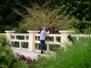 Filename=DSCN0973.JPG
Filesize=7083KiB
Dimensions=4608x3456
Date added=Jun 25, 2022 DSCN0973.JPG