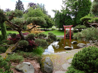 Filename=DSCN0975.JPG
Filesize=7056KiB
Dimensions=4608x3456
Date added=Jun 25, 2022 DSCN0975.JPG