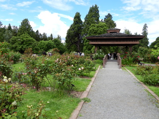 Filename=DSCN1004.JPG
Filesize=7377KiB
Dimensions=4608x3456
Date added=Jun 25, 2022 DSCN1004.JPG