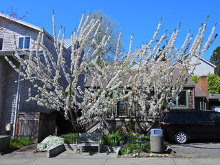 Filename=DSCN1441~0.JPG
Filesize=7014KiB
Dimensions=4608x3456
Date added=May 01, 2023 DSCN1441~0.JPG