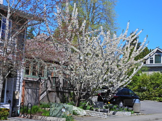 Filename=DSCN1442~0.JPG
Filesize=7672KiB
Dimensions=4608x3456
Date added=May 01, 2023 DSCN1442~0.JPG