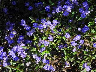 Filename=DSCN1444~0.JPG
Filesize=6990KiB
Dimensions=4608x3456
Date added=May 01, 2023 DSCN1444~0.JPG