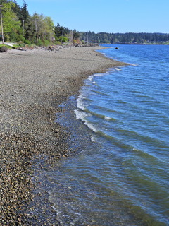 Filename=DSCN1492~0.JPG
Filesize=6530KiB
Dimensions=3456x4608
Date added=May 01, 2023 DSCN1492~0.JPG