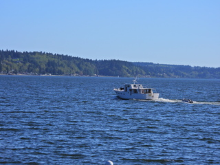 Filename=DSCN1495~0.JPG
Filesize=6909KiB
Dimensions=4608x3456
Date added=May 01, 2023 DSCN1495~0.JPG