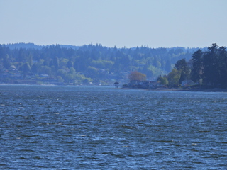 Filename=DSCN1496~0.JPG
Filesize=6701KiB
Dimensions=4608x3456
Date added=May 01, 2023 DSCN1496~0.JPG