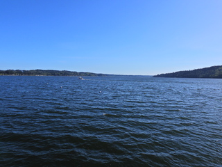 Filename=DSCN1497~0.JPG
Filesize=6959KiB
Dimensions=4608x3456
Date added=May 01, 2023 DSCN1497~0.JPG