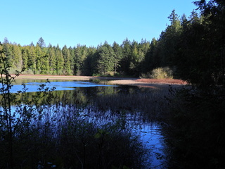 Filename=DSCN1501~0.JPG
Filesize=6912KiB
Dimensions=4608x3456
Date added=May 01, 2023 DSCN1501~0.JPG