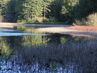 Filename=DSCN1503~0.JPG
Filesize=7495KiB
Dimensions=4608x3456
Date added=May 01, 2023 DSCN1503~0.JPG