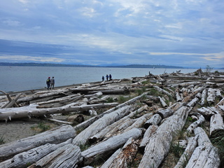 Filename=DSCN1505~0.JPG
Filesize=7043KiB
Dimensions=4608x3456
Date added=May 01, 2023 DSCN1505~0.JPG