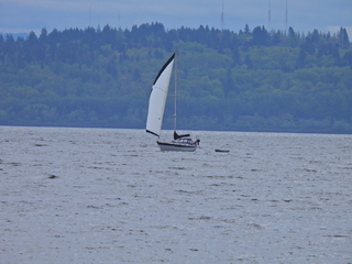 Filename=DSCN1510~0.JPG
Filesize=6619KiB
Dimensions=4608x3456
Date added=May 01, 2023 DSCN1510~0.JPG