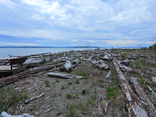 Filename=DSCN1512~0.JPG
Filesize=7388KiB
Dimensions=4608x3456
Date added=May 01, 2023 DSCN1512~0.JPG