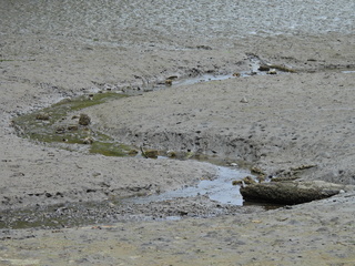 Filename=DSCN1517~0.JPG
Filesize=7116KiB
Dimensions=4608x3456
Date added=May 01, 2023 DSCN1517~0.JPG