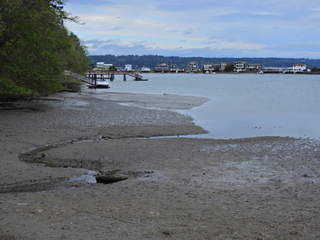 Filename=DSCN1518~0.JPG
Filesize=7357KiB
Dimensions=4608x3456
Date added=May 01, 2023 DSCN1518~0.JPG