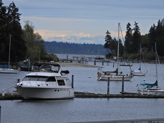 Filename=DSCN1524~0.JPG
Filesize=7378KiB
Dimensions=4608x3456
Date added=May 01, 2023 DSCN1524~0.JPG