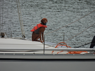 Filename=DSCN1534~0.JPG
Filesize=6747KiB
Dimensions=4608x3456
Date added=May 01, 2023 DSCN1534~0.JPG