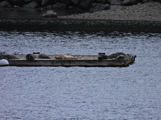 Filename=DSCN1537~0.JPG
Filesize=6628KiB
Dimensions=4608x3456
Date added=May 01, 2023 DSCN1537~0.JPG