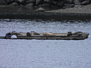 Filename=DSCN1538~0.JPG
Filesize=6617KiB
Dimensions=4608x3456
Date added=May 01, 2023 DSCN1538~0.JPG