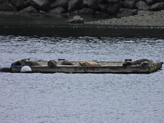 Filename=DSCN1541~0.JPG
Filesize=6579KiB
Dimensions=4608x3456
Date added=May 01, 2023 DSCN1541~0.JPG