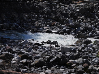 Filename=DSCN1568.JPG
Filesize=6600KiB
Dimensions=4608x3456
Date added=May 15, 2023 DSCN1568.JPG