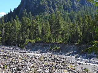 Filename=DSCN1569.JPG
Filesize=7316KiB
Dimensions=4608x3456
Date added=May 15, 2023 DSCN1569.JPG