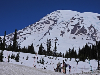 Filename=DSCN1581.JPG
Filesize=6718KiB
Dimensions=4608x3456
Date added=May 15, 2023 DSCN1581.JPG