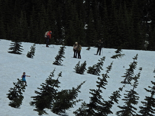 Filename=DSCN1585.JPG
Filesize=7224KiB
Dimensions=4608x3456
Date added=May 15, 2023 DSCN1585.JPG