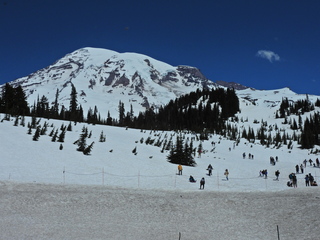 Filename=DSCN1589.JPG
Filesize=6660KiB
Dimensions=4608x3456
Date added=May 15, 2023 DSCN1589.JPG