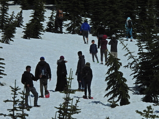 Filename=DSCN1594.JPG
Filesize=7255KiB
Dimensions=4608x3456
Date added=May 15, 2023 DSCN1594.JPG