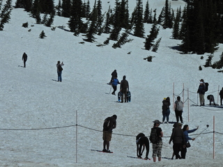 Filename=DSCN1595.JPG
Filesize=7164KiB
Dimensions=4608x3456
Date added=May 15, 2023 DSCN1595.JPG