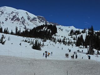 Filename=DSCN1596.JPG
Filesize=7026KiB
Dimensions=4608x3456
Date added=May 15, 2023 DSCN1596.JPG