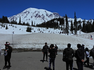 Filename=DSCN1613.JPG
Filesize=6717KiB
Dimensions=4608x3456
Date added=May 15, 2023 DSCN1613.JPG