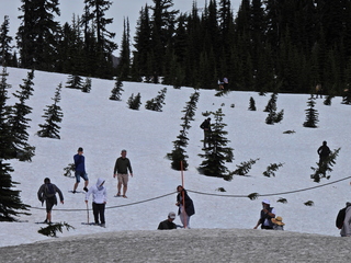 Filename=DSCN1617.JPG
Filesize=7442KiB
Dimensions=4608x3456
Date added=May 15, 2023 DSCN1617.JPG