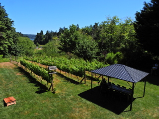 Filename=DSCN2815~0.JPG
Filesize=7184KiB
Dimensions=4608x3456
Date added=Sep 09, 2023 DSCN2815~0.JPG