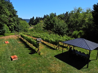 Filename=DSCN2819.JPG
Filesize=6995KiB
Dimensions=4608x3456
Date added=Sep 09, 2023 DSCN2819.JPG