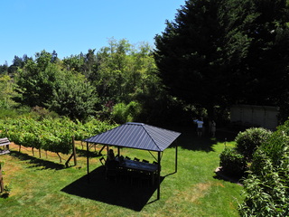 Filename=DSCN2820.JPG
Filesize=6791KiB
Dimensions=4608x3456
Date added=Sep 09, 2023 DSCN2820.JPG